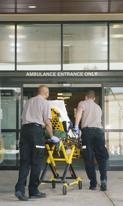 Bed Bug Treatments for Emergency Vehicles, Hospitals and More